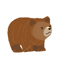 Brown Bear Sticker by The Hiatus Label