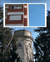 elojodenestor gif art remix apropiacion gif collage GIF