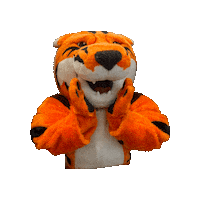 Go Tigers Wow Sticker by Rochester Institute of Technology