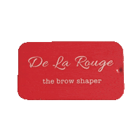 delarouge beauty brows delarouge brow shaper Sticker