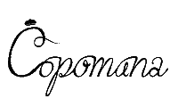 Torte Sticker by Copomana