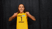 basketball sport GIF by Indiana Fever