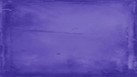 Congratulations Congrats GIF