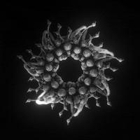 Black And White Art GIF by xponentialdesign