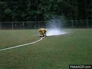 post men GIF