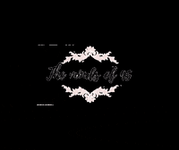 Straedetkoege kat chela malle themindsof95 GIF