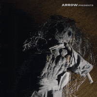 Film Horror GIF by Arrow Video