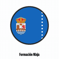 Flag Spain GIF by Formación Ninja