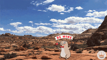 I Love You Lol GIF by Hallmark Gold Crown
