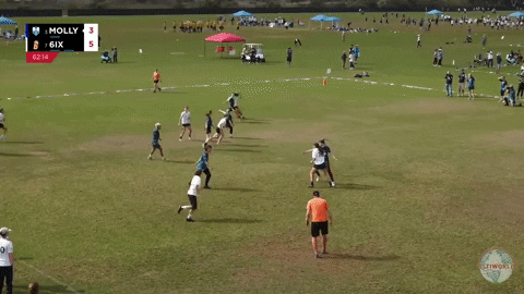 flikulti ultimate frisbee flik GIF