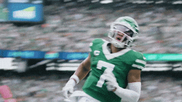 Ny Jets Football GIF by New York Jets