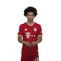 Champions League Football Sticker by FC Bayern Munich