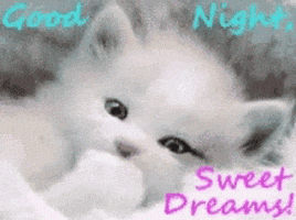 Sweet Dreams GIF