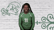 volleyball tulane GIF by GreenWave