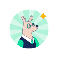 Rooteam 袋鼠金融 roocash mrroo 袋鼠 Sticker