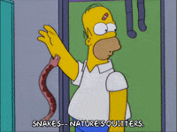 homer simpson snake bite GIF