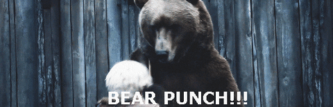 a song of ice and fire bear GIF