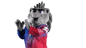 Sport Mascot Sticker by FinHockey