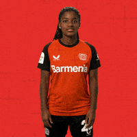 Werkself B04 GIF by Bayer 04 Leverkusen