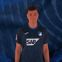 Sport Bundesliga GIF by TSG Hoffenheim