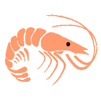 hannah24nicole ai vacation florida shrimp Sticker