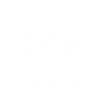 Motogp Canarias Sticker by Motard Class