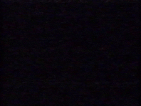 Vhs Software GIF by Squirrel Monkey