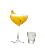 celebrate night out Sticker by NEIGHBOURHOOD