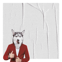 arcapublicidad arca impresiondigital digitalprint arcapublicidad GIF