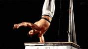 mtv zach nichols GIF by RealityTVGIFs