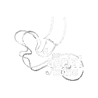 myaerialhome circus mah aerialcircus myaerialhome Sticker
