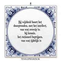 Humor Nl GIF by Tegelspreuken.nl