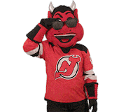 Ice Hockey Sticker by NHL