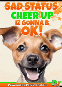 PetJuvenate henlo hooman fren love rescue dogs treatos and woofer for pupper hip and joint mobility chews supplements GIF