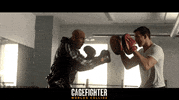 Mixed Martial Arts Fight GIF by Indiecan Entertainment Inc.