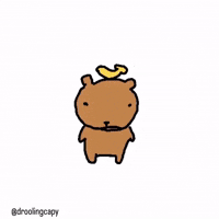 Droolingcapy dance kawaii silly capybara GIF