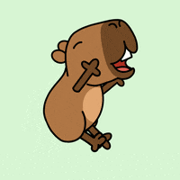 thecapycode happy dance party dancing GIF