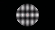 GIF by Frau Holla