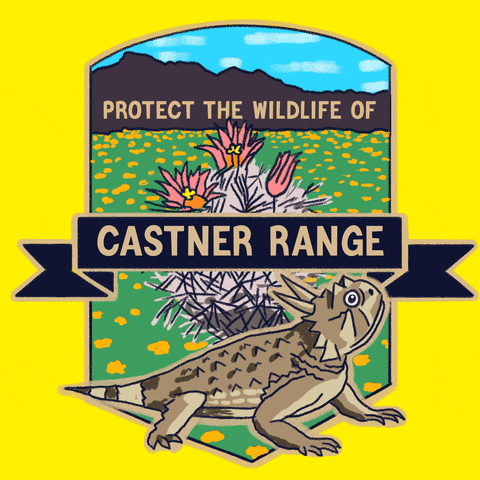 Digital art gif. A shield containing a cartoon image of a field of yellow poppies and a mountain range, plus a bouquet of pink spiky flowers sits under the words, "Protect the wildlife of." A ribbon sitting on top of the shield contains the words "Castner Range." A large iguana sits over the bottom right of the whole image, and everything is set against a bright yellow backdrop.