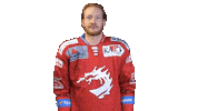 Swipe Up Canadian Sticker by HC Oceláři Třinec