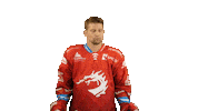 Ice Hockey Sticker Sticker by HC Oceláři Třinec