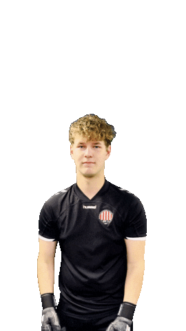 Mvv27 Yari Sticker by MVV'27