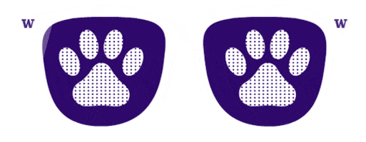 Sunglasses Commencement Sticker by UW Tacoma