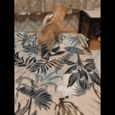 GIF produit