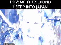 Japan Japanese GIF