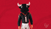 National Football League GIF by Houston Texans