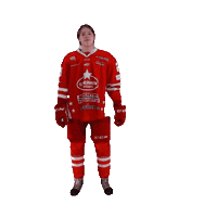 U18 Sticker by StjernenHockey