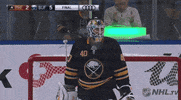 happy ice hockey GIF by NHL