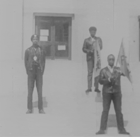 Black Panther Vintage GIF by US National Archives