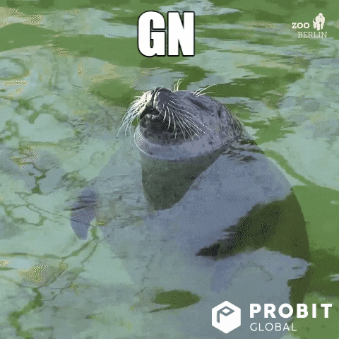 Sleepy Water GIF by ProBit Global